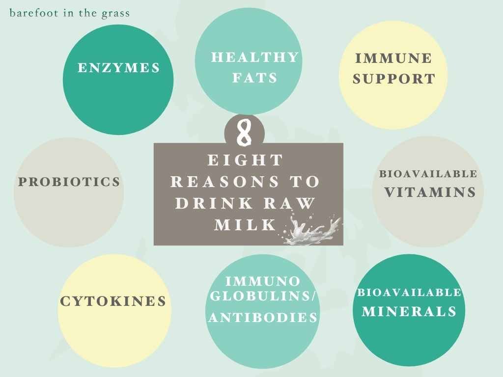 Eight health reasons to drink raw milk.