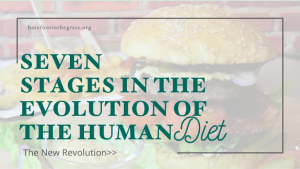 Stages of the Human Diet